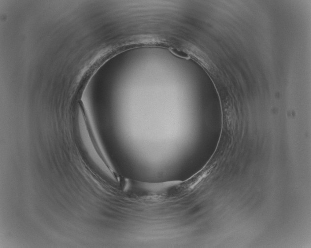 X0000074010350200609111629