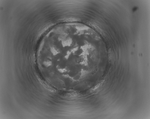 X0000074010351200609111629