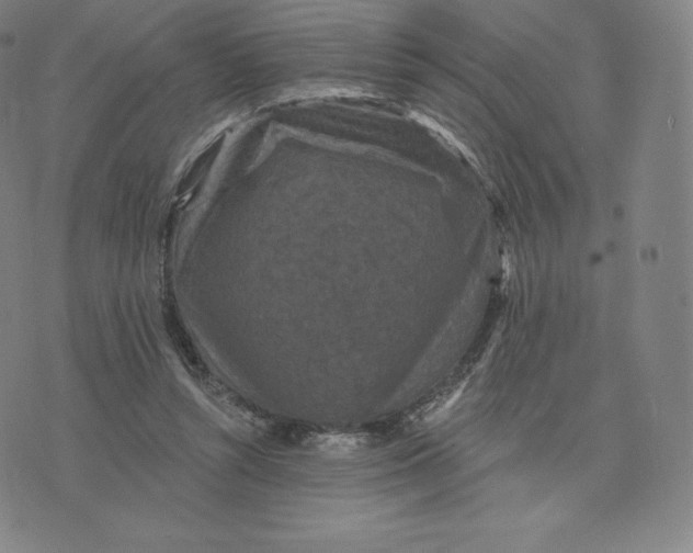 X0000074010352200609111629