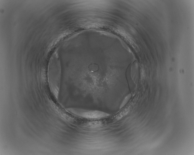 X0000074010353200609111629