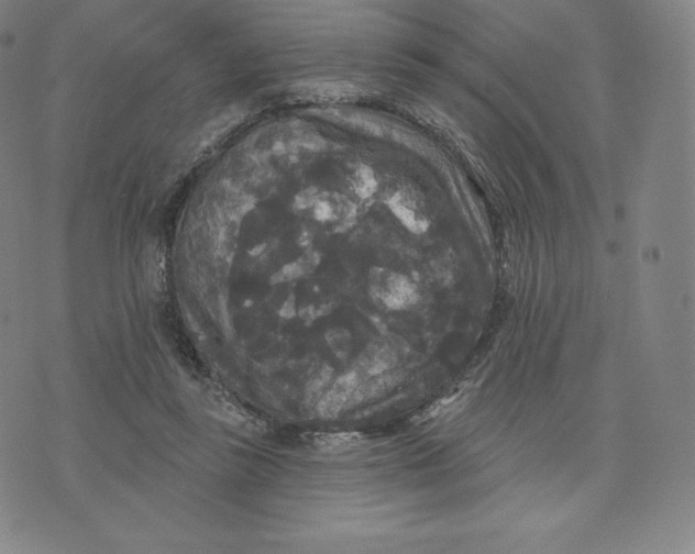 X0000074010355200609111629