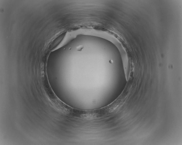 X0000074010356200609111629