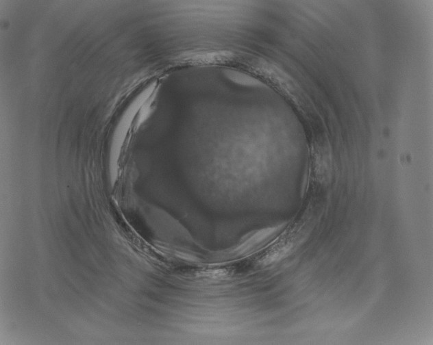 X0000074010357200609111629