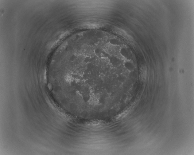 X0000074010358200609111629