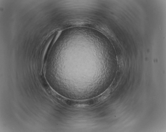 X0000074010360200609111629