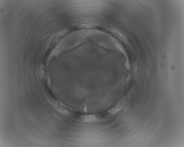 X0000074010361200609111629