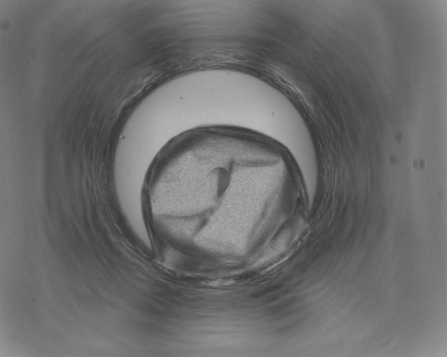 X0000074010362200609111629