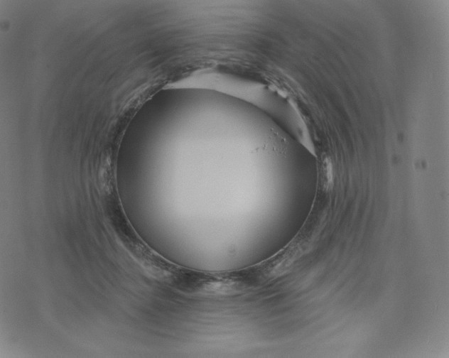 X0000074010364200609111629