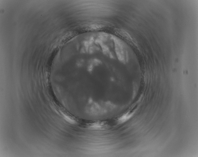 X0000074010366200609111629