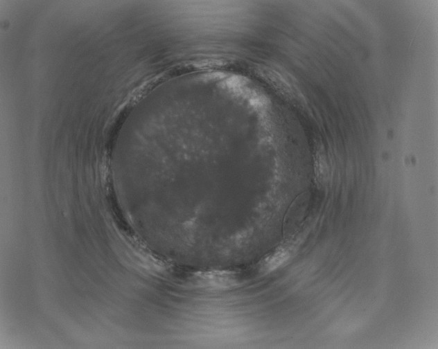 X0000074010367200609111629