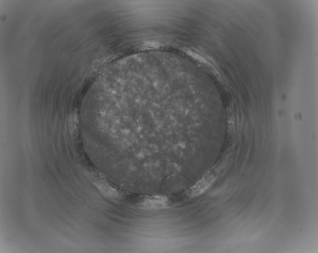 X0000074010369200609111629