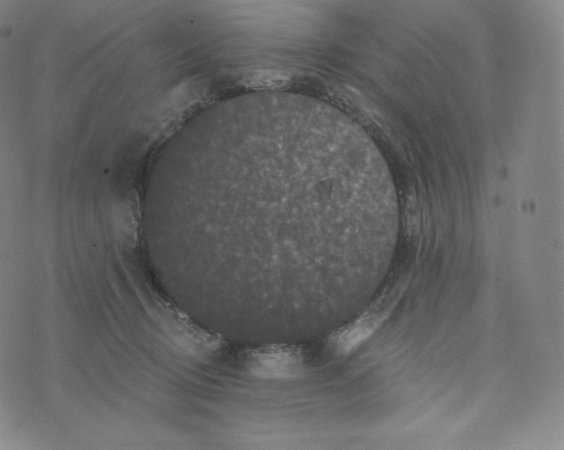 X0000074010370200609111629