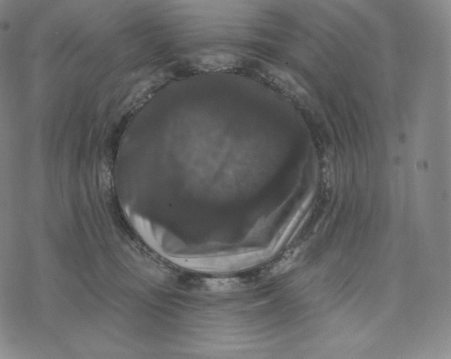 X0000074010371200609111629