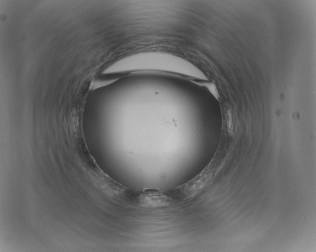 X0000074010372200609111629