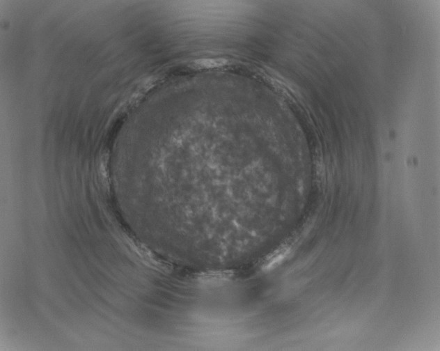 X0000074010373200609111630