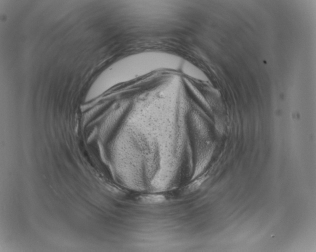 X0000074010374200609111630