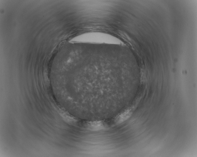 X0000074010377200609111630