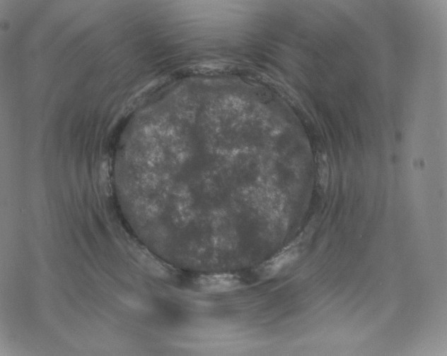 X0000074010378200609111630