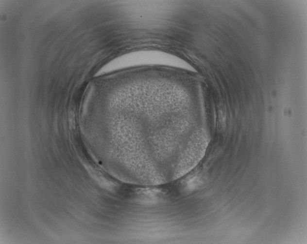 X0000074010379200609111630