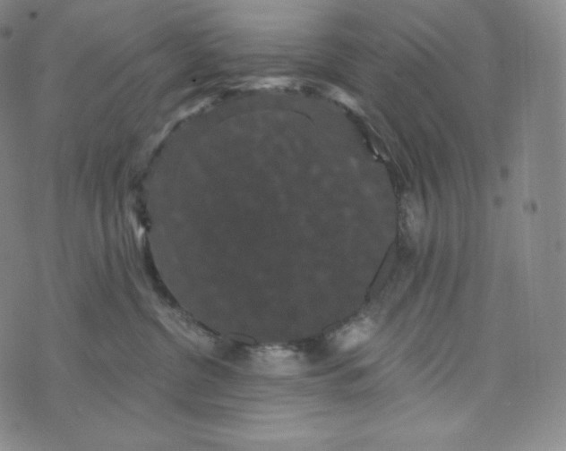 X0000074010380200609111630