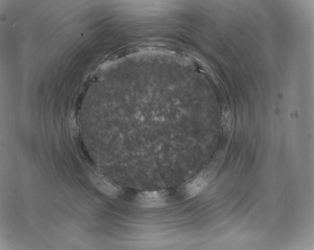 X0000074010381200609111630