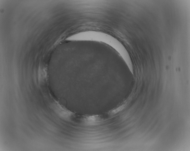 X0000074010382200609111630