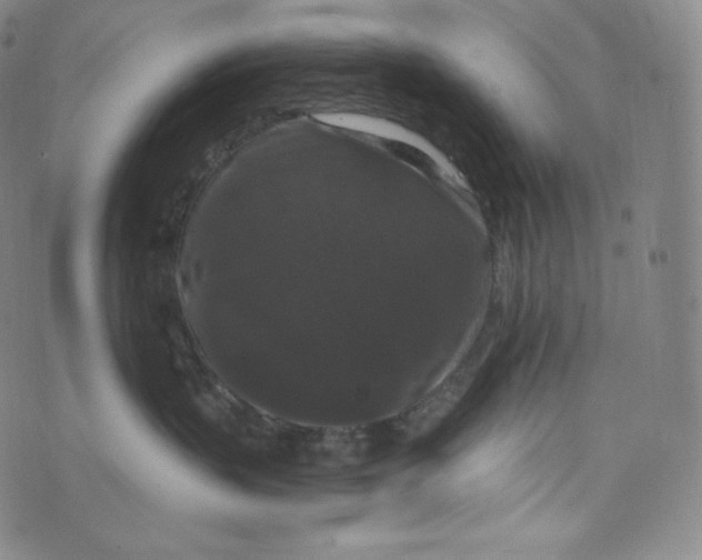 X0000074010383200609111630