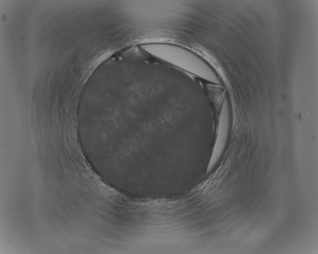 X0000074010385200609111629