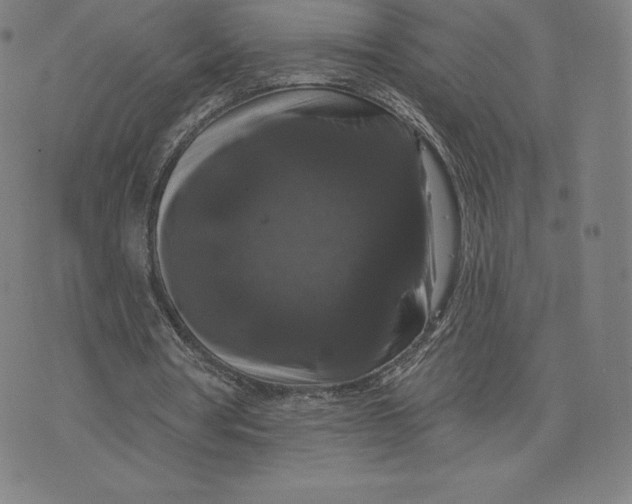 X0000074010386200609111629