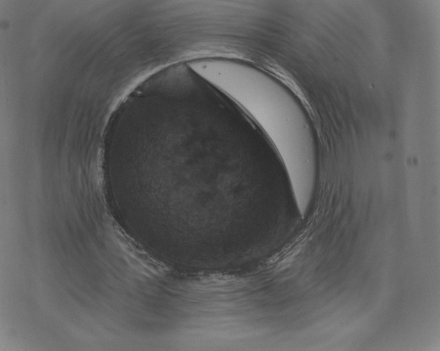 X0000074010387200609111629