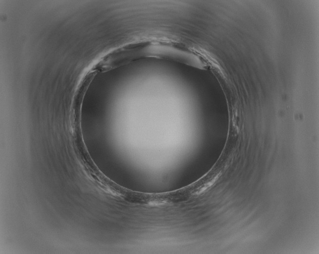 X0000074010388200609111629