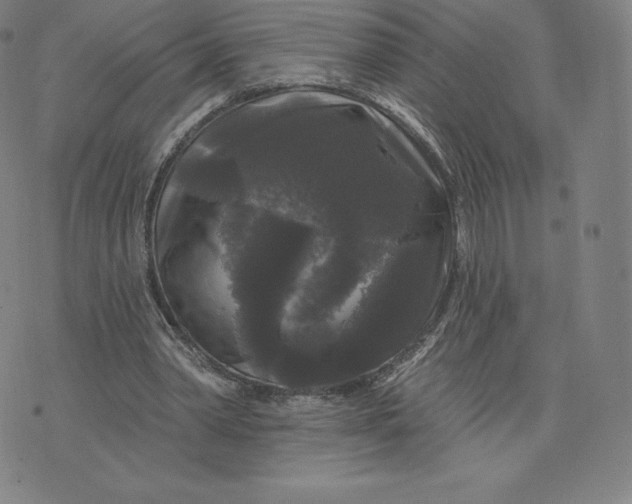 X0000074010390200609111629