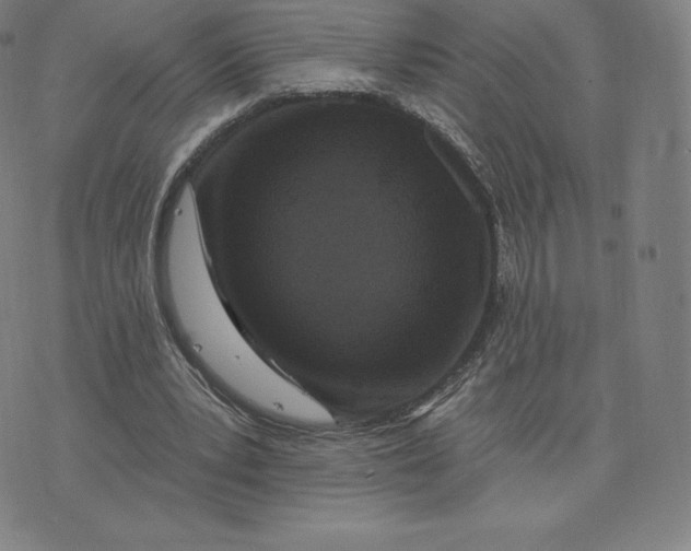 X0000074010391200609111629