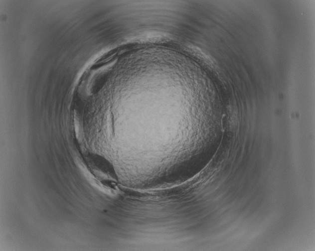 X0000074010392200609111629