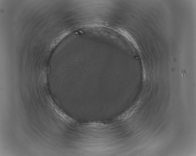 X0000074010393200609111629