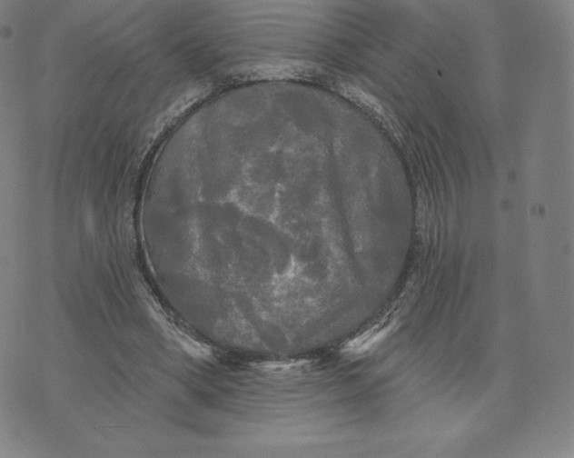 X0000074010394200609111629