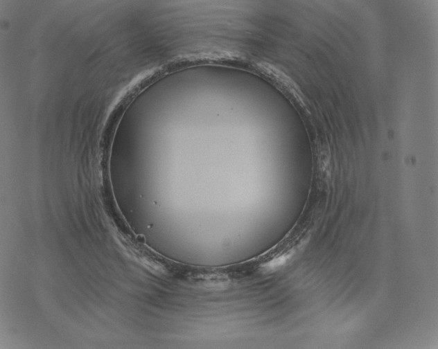 X0000074010395200609111629