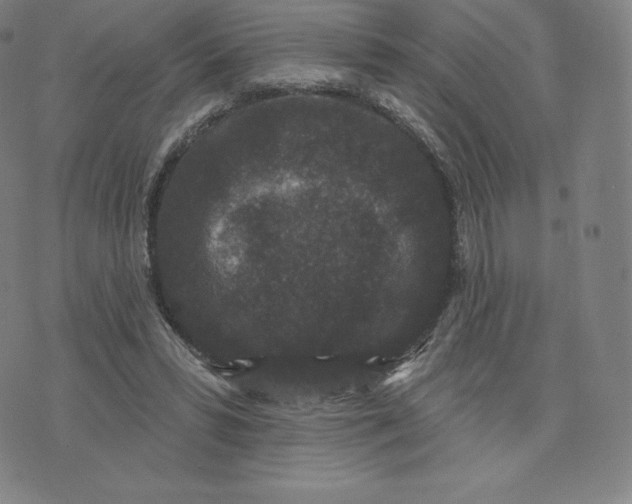 X0000074010399200609111629