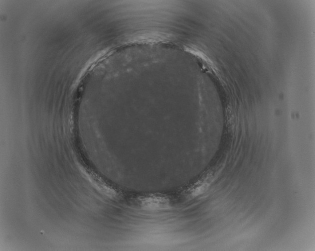 X0000074010400200609111629