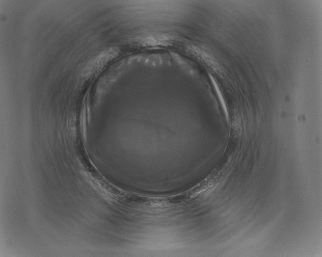 X0000074010402200609111629