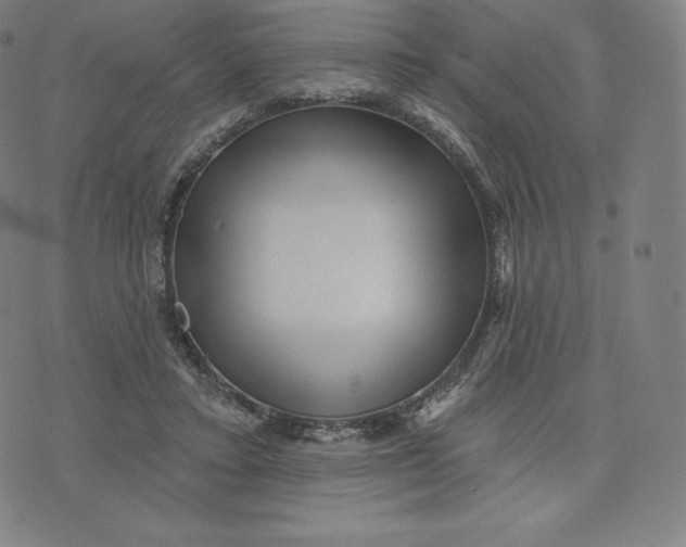 X0000074010403200609111629