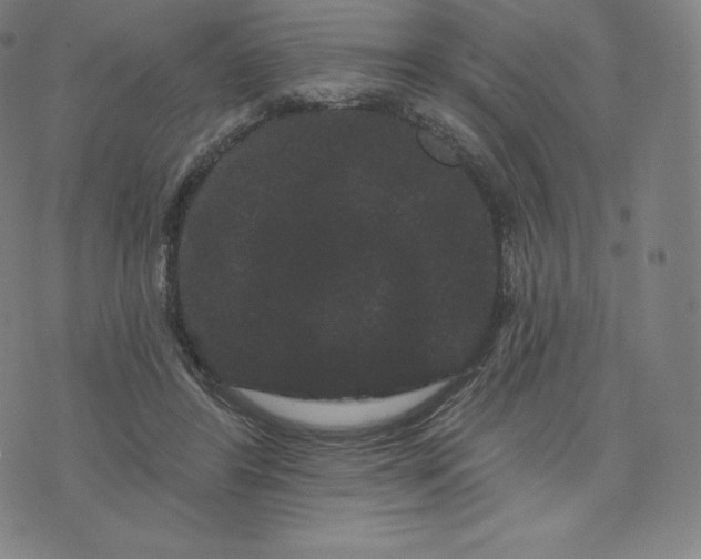 X0000074010404200609111629