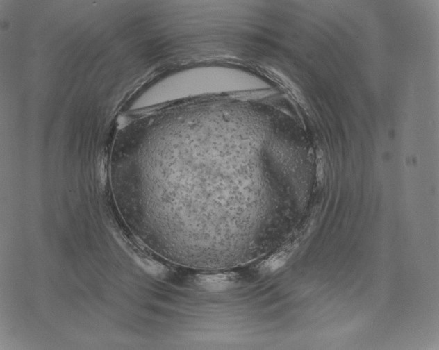 X0000074010405200609111629