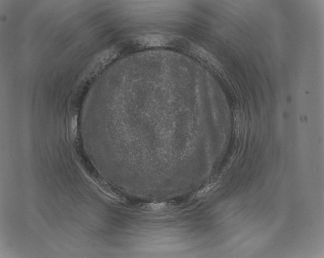 X0000074010406200609111629