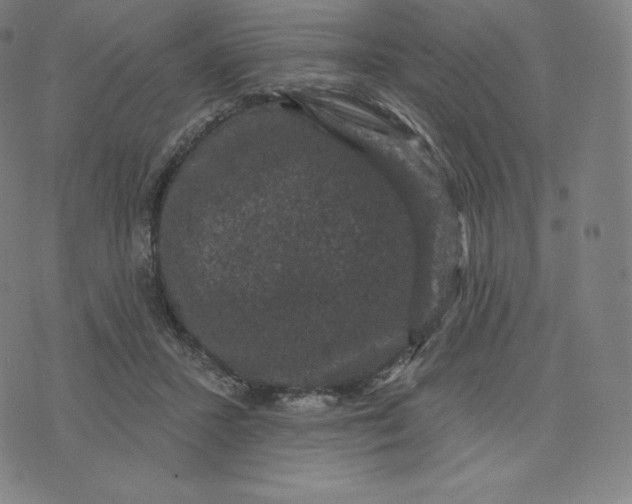 X0000074010407200609111629