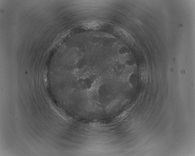 X0000074010408200609111629