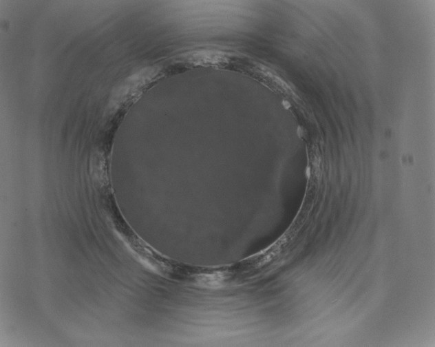 X0000074010411200609111628