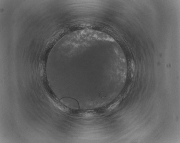 X0000074010412200609111628