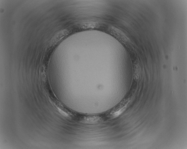 X0000074010414200609111628