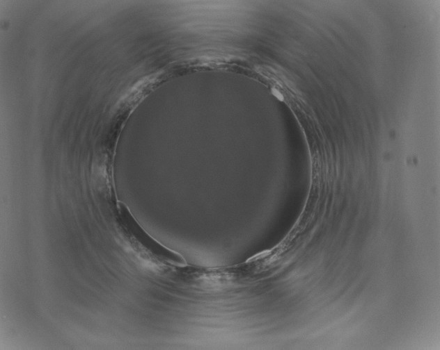 X0000074010415200609111628